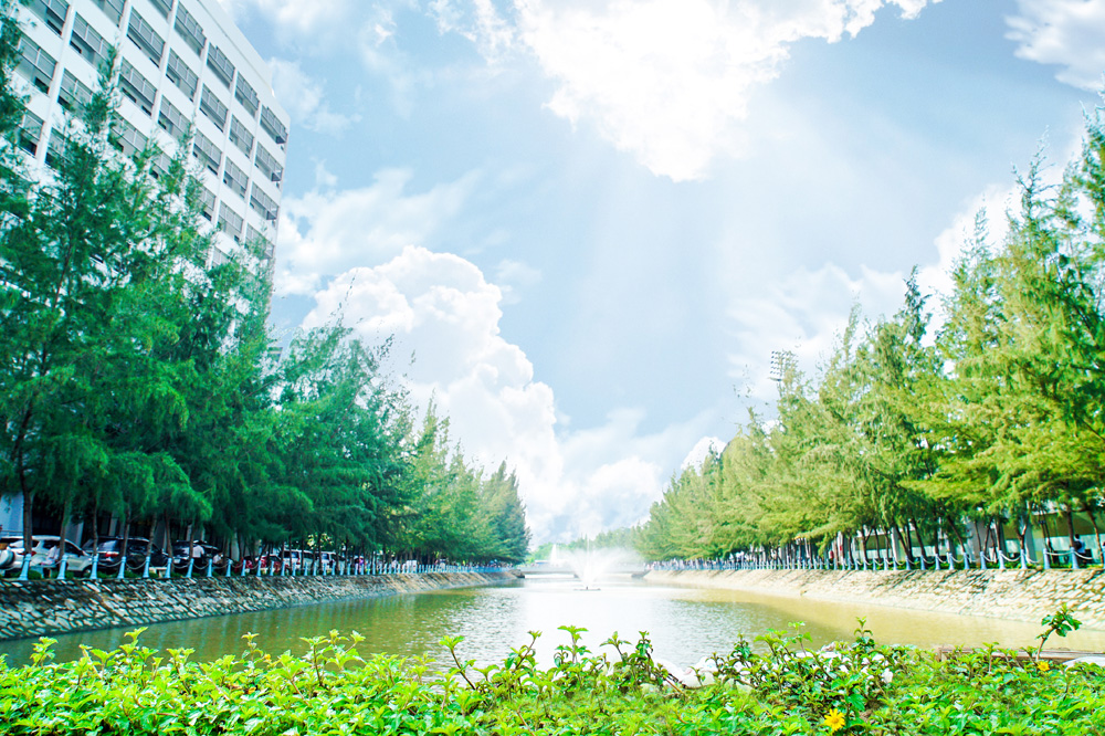 Ứng dụng công nghệ thân thiện môi trường để kiểm soát chất lượng nước kênh rạch tại  Đại học Tôn Đức Thắng (TDTU)